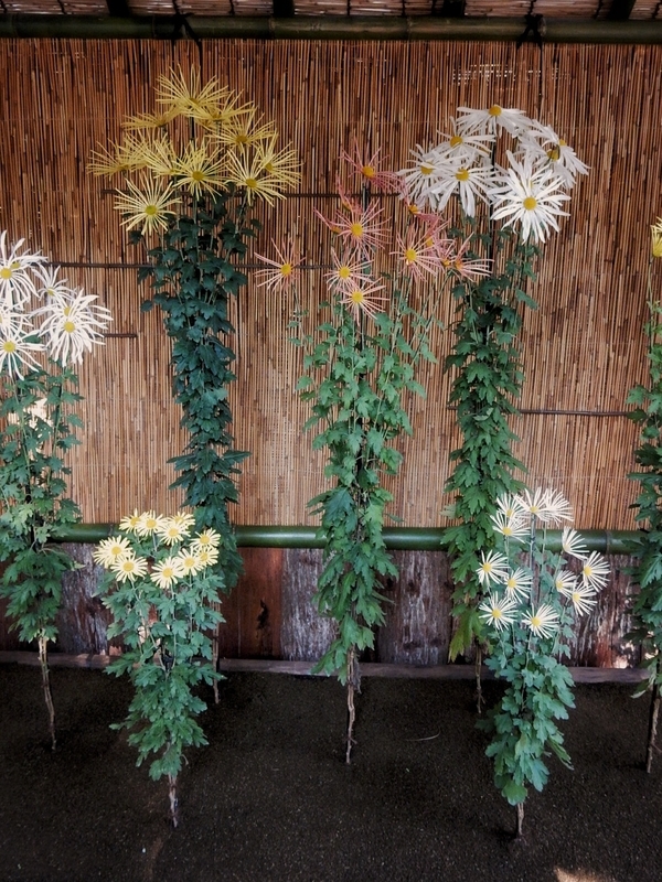 f:id:Nakano_Hitsuji:20181114133320j:plain f:id:Nakano_Hitsuji:20181114133320j:plain