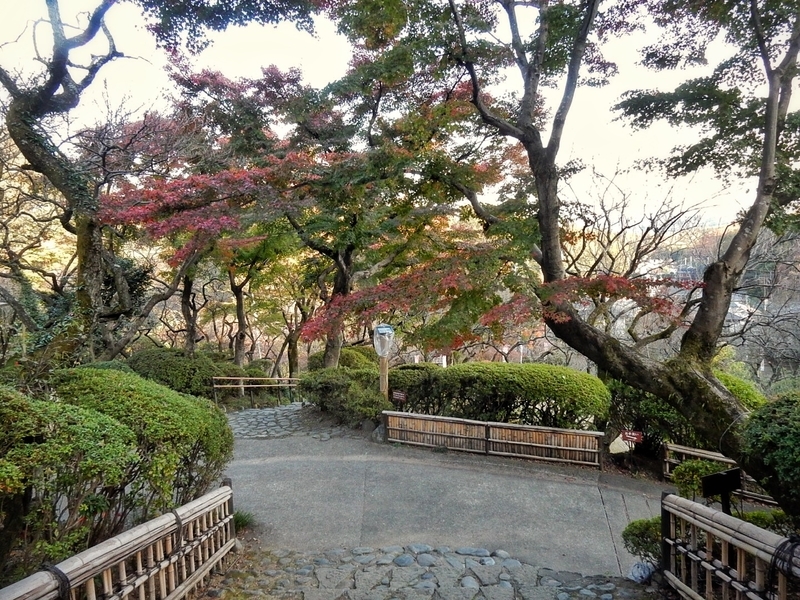 f:id:Nakano_Hitsuji:20181125144404j:plain