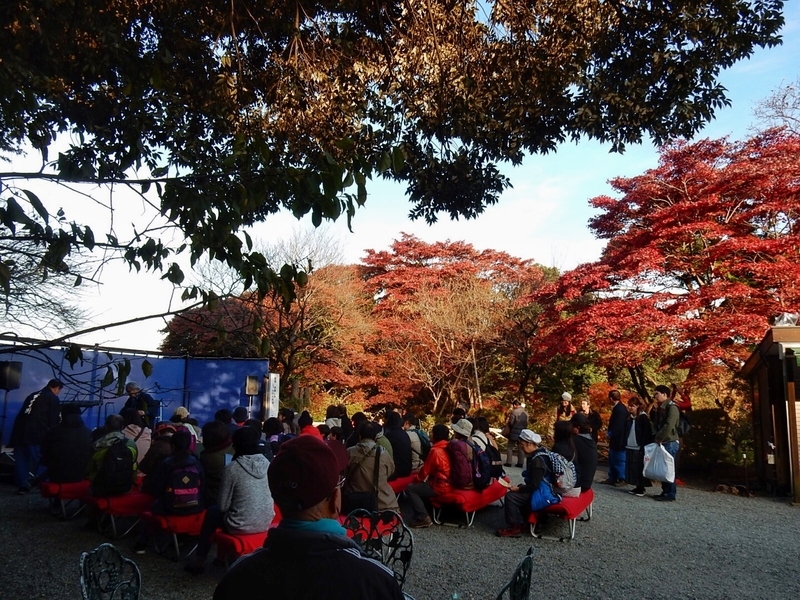 f:id:Nakano_Hitsuji:20181125144735j:plain