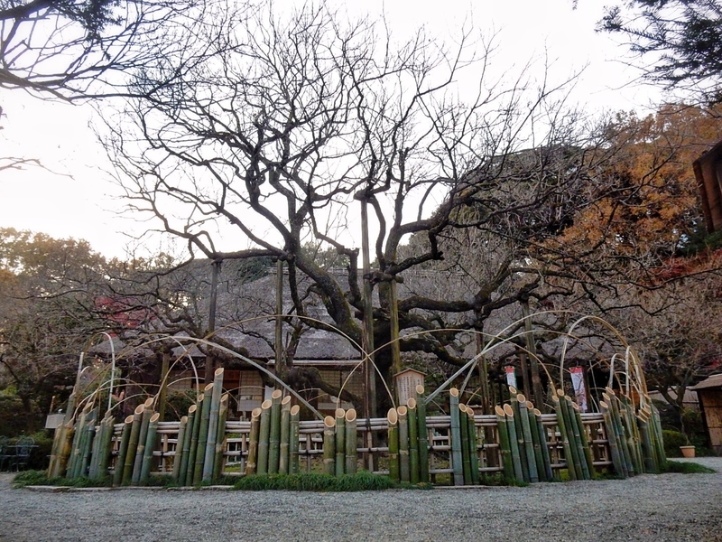 f:id:Nakano_Hitsuji:20181125160202j:plain