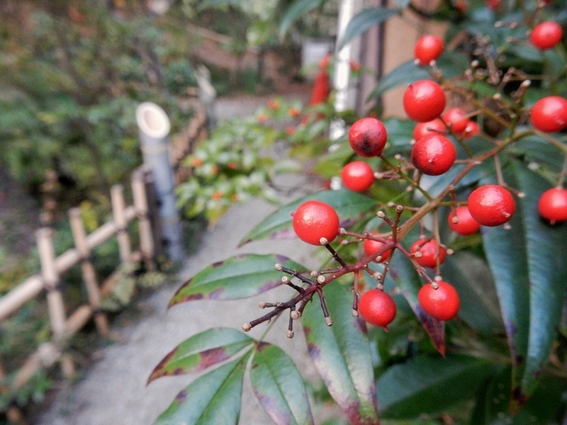 f:id:Nakano_Hitsuji:20181125160603j:plain