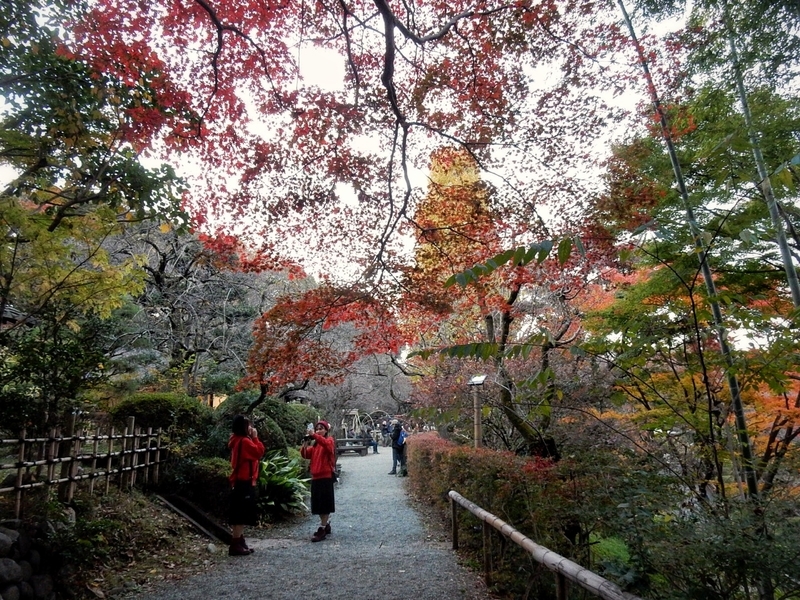 f:id:Nakano_Hitsuji:20181125162131j:plain