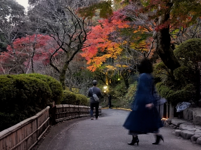 f:id:Nakano_Hitsuji:20181125163707j:plain