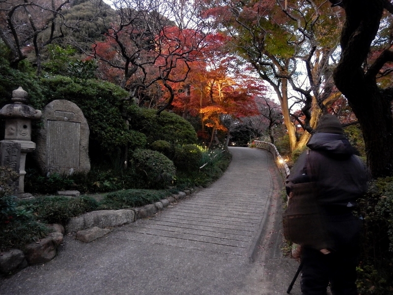 f:id:Nakano_Hitsuji:20181125163725j:plain