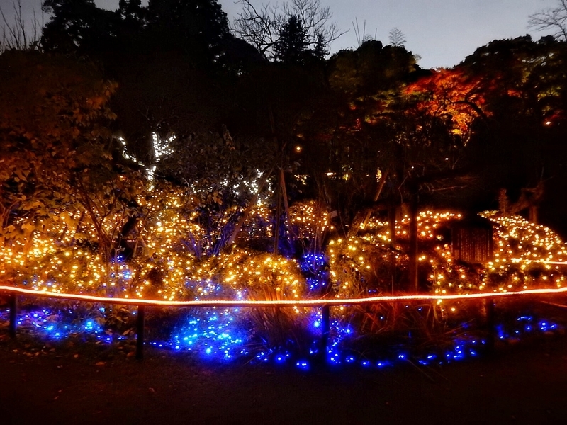 f:id:Nakano_Hitsuji:20181125170100j:plain