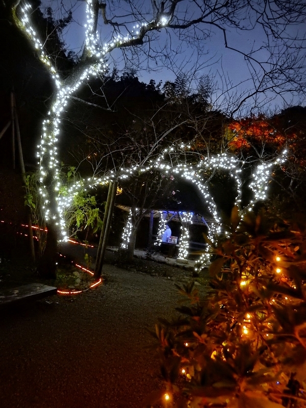 f:id:Nakano_Hitsuji:20181125170154j:plain