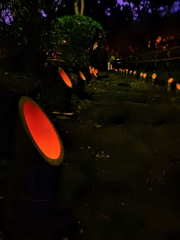 f:id:Nakano_Hitsuji:20181125170400j:plain