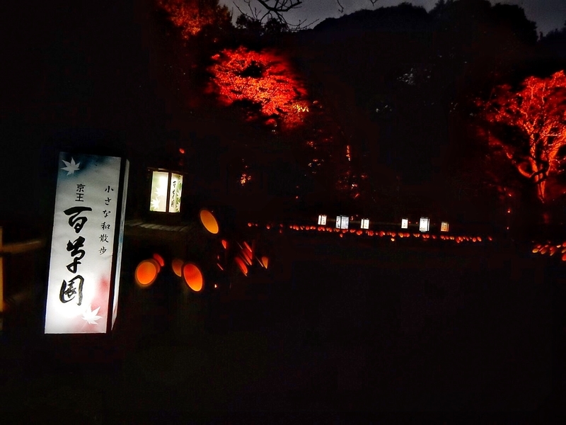 f:id:Nakano_Hitsuji:20181125170830j:plain