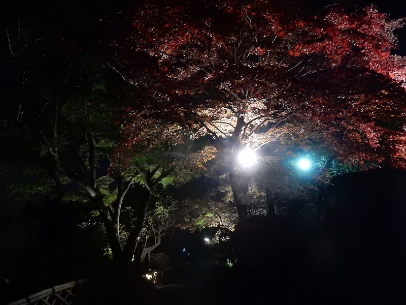 f:id:Nakano_Hitsuji:20181125172429j:plain