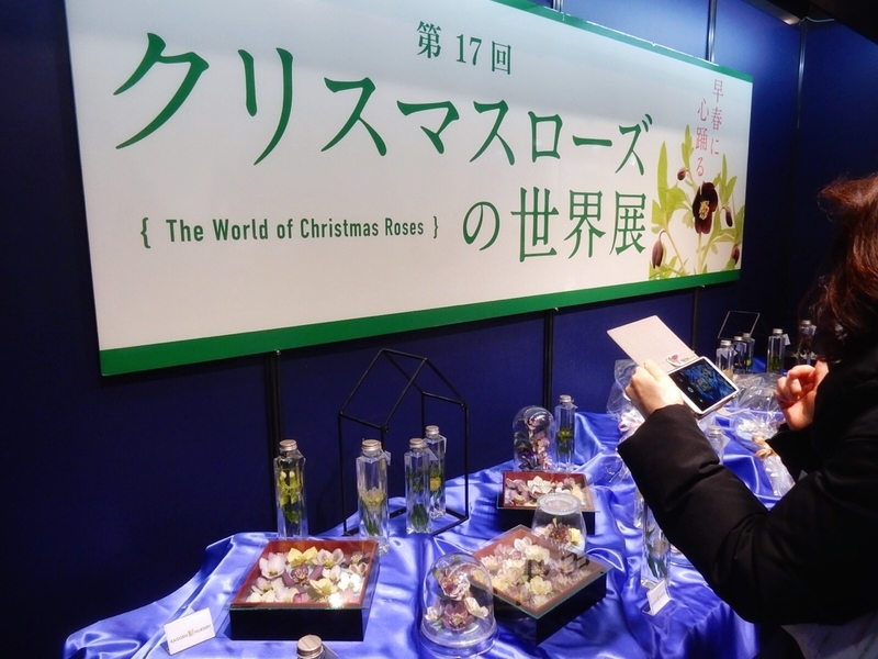 f:id:Nakano_Hitsuji:20190215143155j:plain f:id:Nakano_Hitsuji:20190215143155j:plain