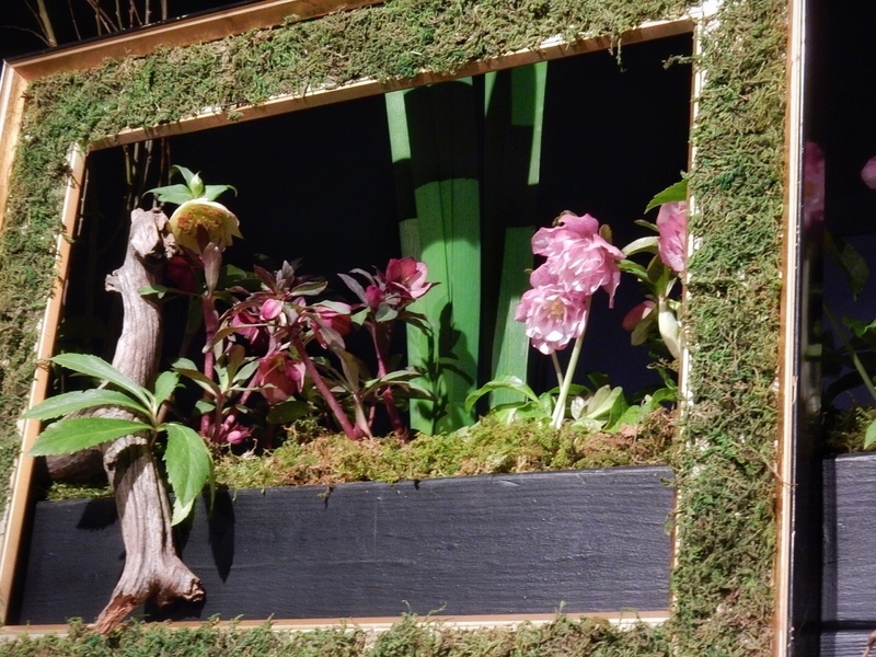 f:id:Nakano_Hitsuji:20190215143701j:plain f:id:Nakano_Hitsuji:20190215143701j:plain