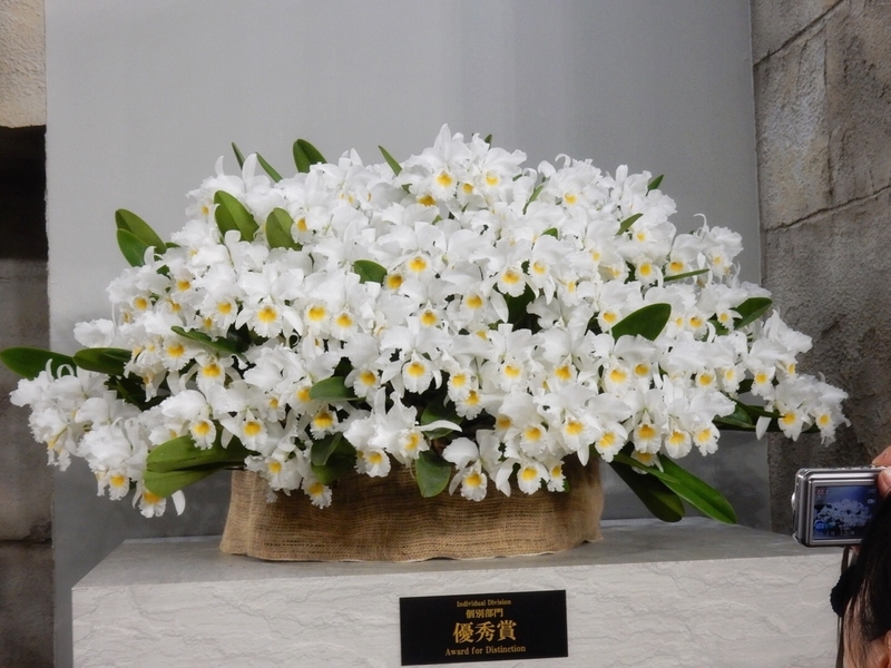 f:id:Nakano_Hitsuji:20190218132336j:plain