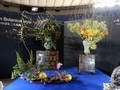 Japan Botanical Style -日本いけばな三大流派-・いけばな小原流