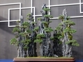 Japan Botanical Style -蘭とBONSAI-・真柏(石付)