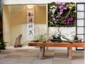 ディスプレイ部門・向山蘭園
