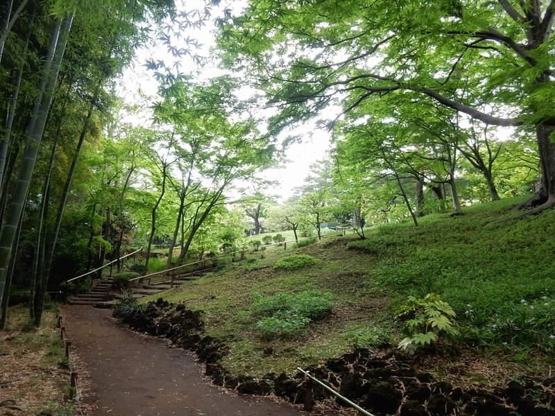 f:id:Nakano_Hitsuji:20190425155300j:plain