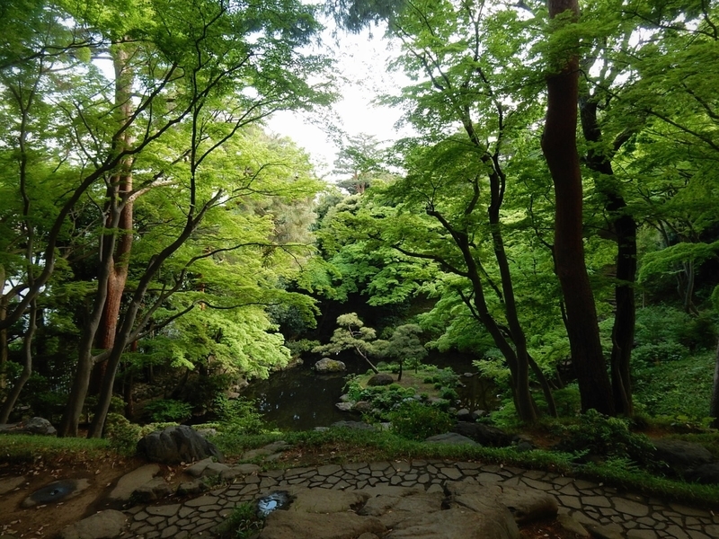 f:id:Nakano_Hitsuji:20190425161146j:plain