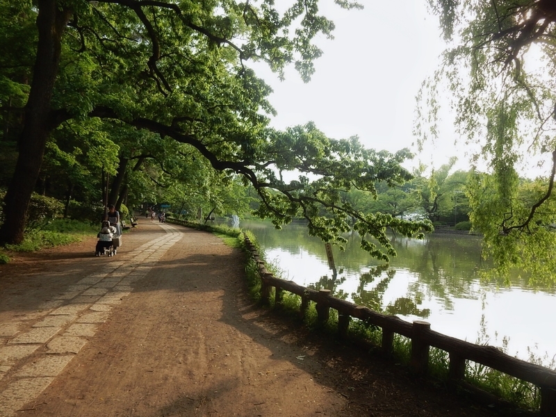 f:id:Nakano_Hitsuji:20190510163013j:plain f:id:Nakano_Hitsuji:20190510163013j:plain