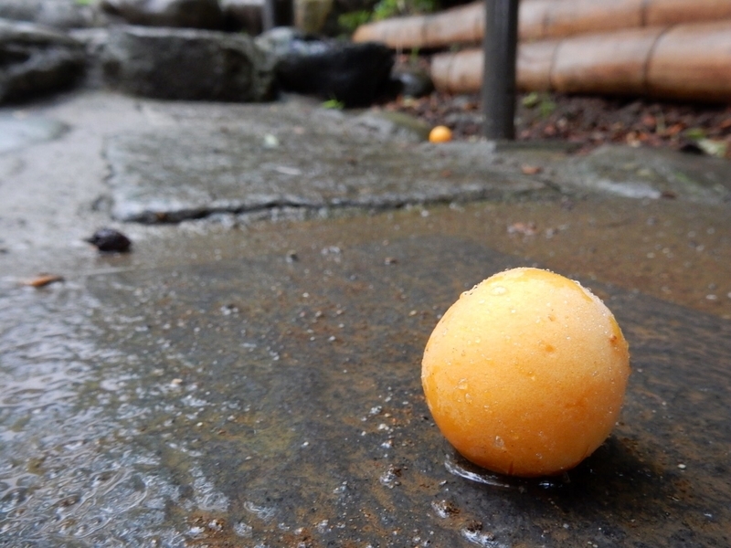 f:id:Nakano_Hitsuji:20190622151351j:plain