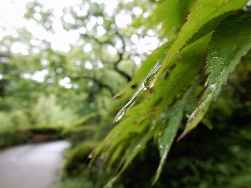 f:id:Nakano_Hitsuji:20190622152022j:plain