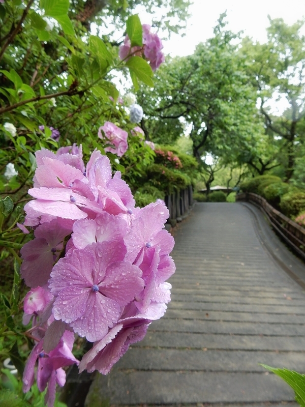 f:id:Nakano_Hitsuji:20190622152158j:plain