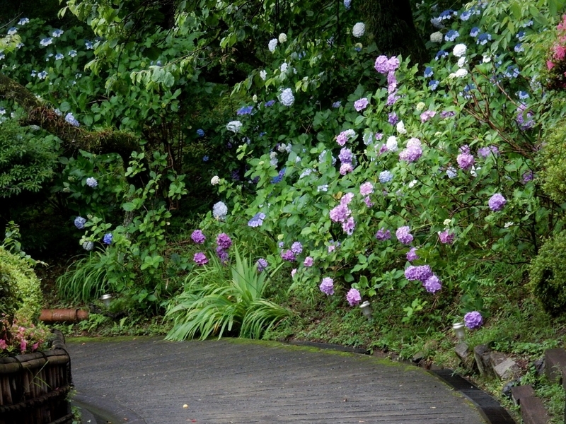 f:id:Nakano_Hitsuji:20190622153823j:plain