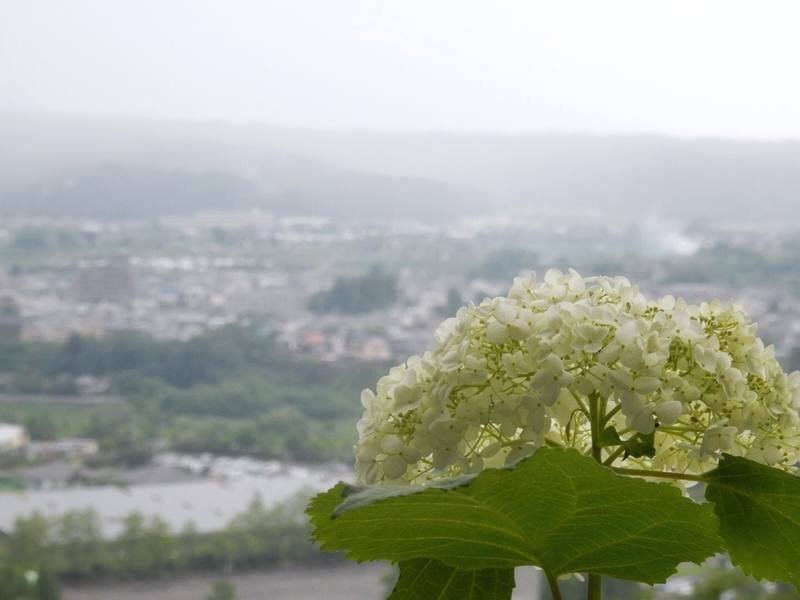 f:id:Nakano_Hitsuji:20190706140212j:plain