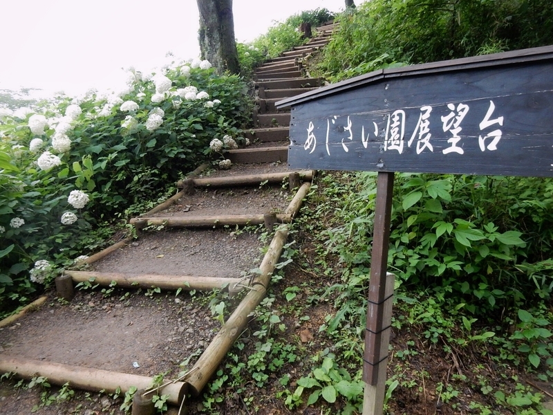 f:id:Nakano_Hitsuji:20190706140756j:plain