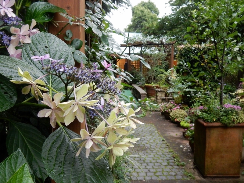 f:id:Nakano_Hitsuji:20190711151345j:plain