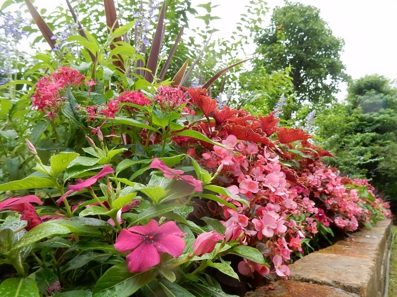 f:id:Nakano_Hitsuji:20190711151857j:plain