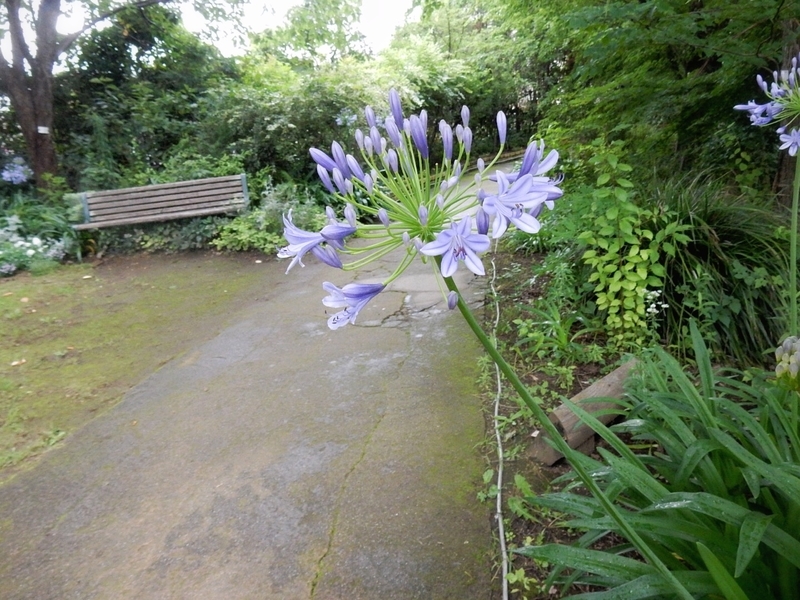 f:id:Nakano_Hitsuji:20190711154450j:plain