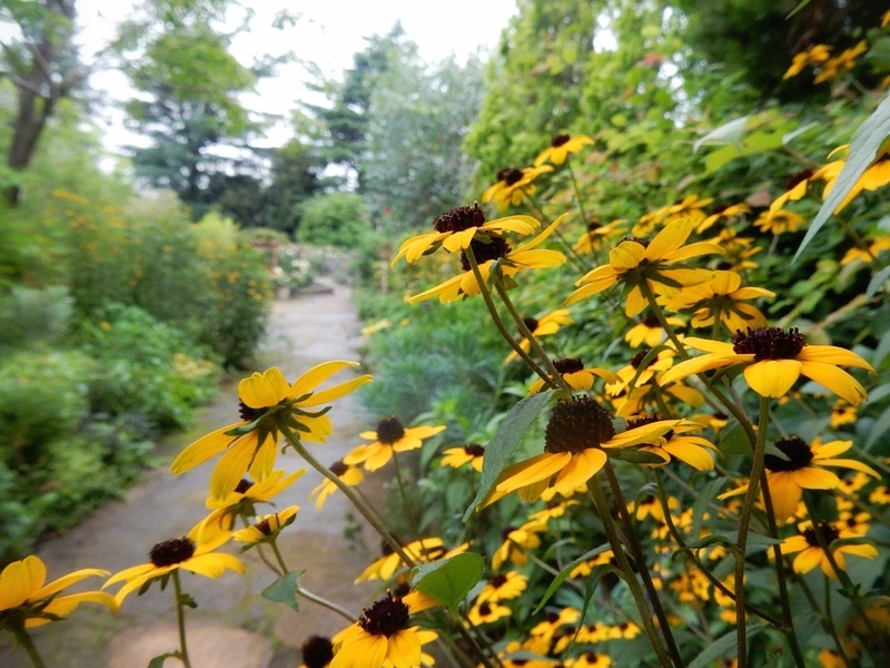 f:id:Nakano_Hitsuji:20190711155344j:plain