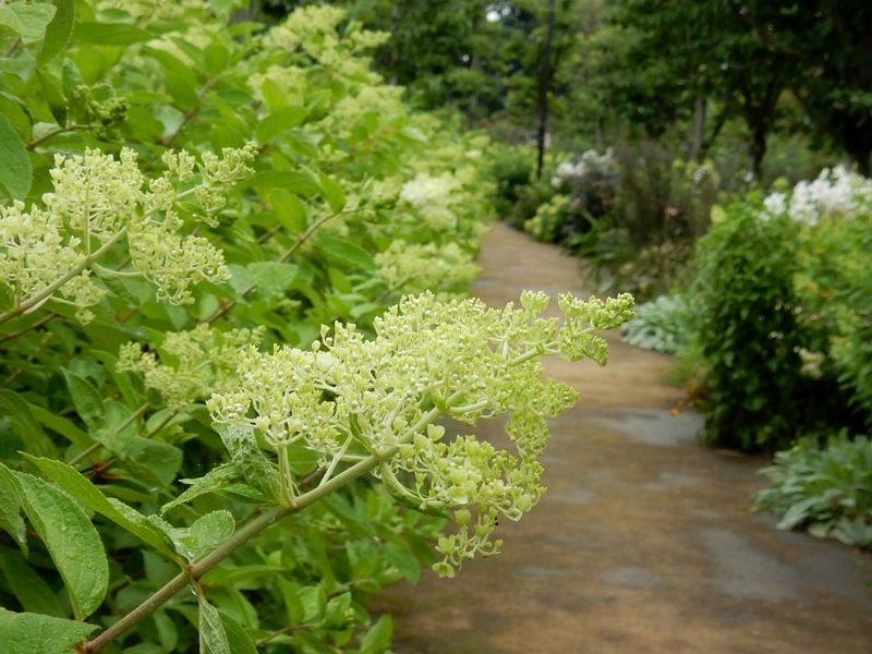 f:id:Nakano_Hitsuji:20190711162755j:plain