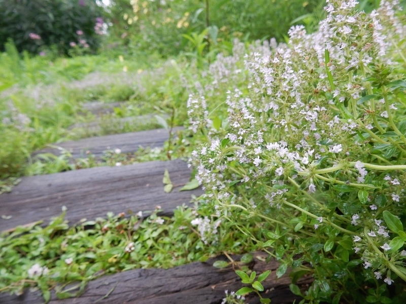 f:id:Nakano_Hitsuji:20190711163718j:plain