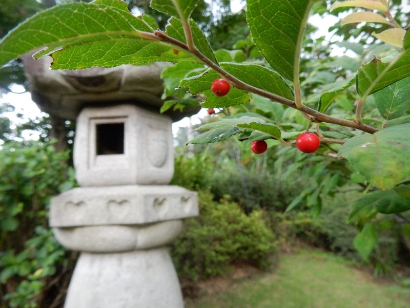 f:id:Nakano_Hitsuji:20190917155045j:plain f:id:Nakano_Hitsuji:20190917155045j:plain