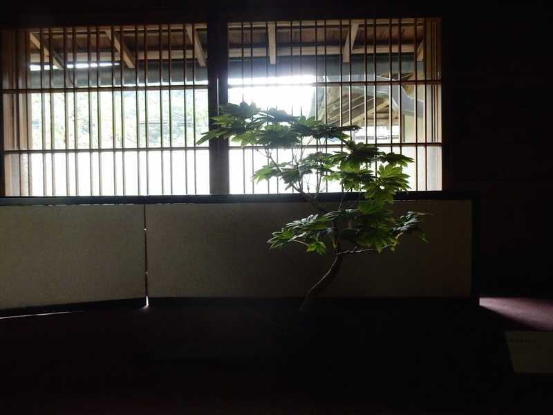f:id:Nakano_Hitsuji:20190917160022j:plain f:id:Nakano_Hitsuji:20190917160022j:plain