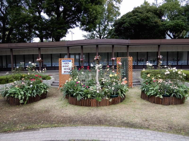 f:id:Nakano_Hitsuji:20191024160542j:plain