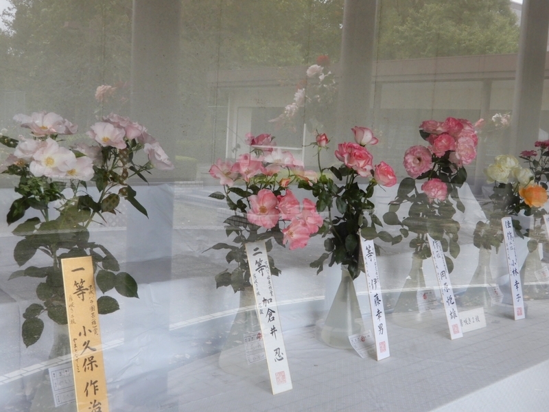 f:id:Nakano_Hitsuji:20191024160741j:plain