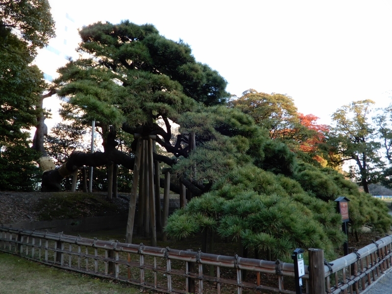 f:id:Nakano_Hitsuji:20200103160636j:plain f:id:Nakano_Hitsuji:20200103160636j:plain