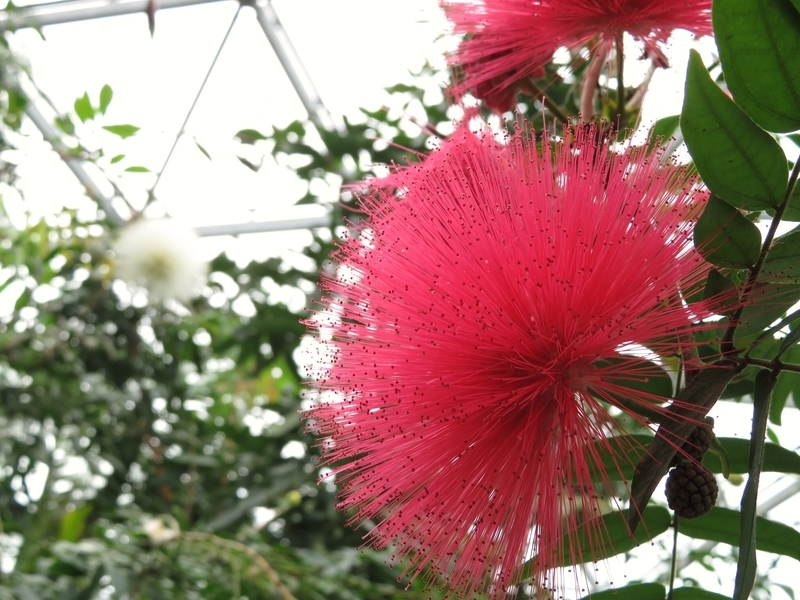 f:id:Nakano_Hitsuji:20200122131737j:plain f:id:Nakano_Hitsuji:20200122131737j:plain