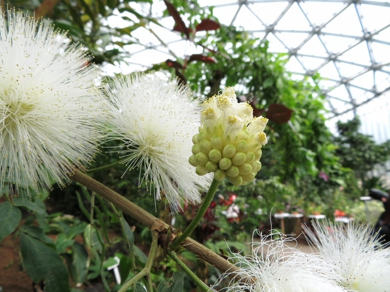 f:id:Nakano_Hitsuji:20200122131903j:plain f:id:Nakano_Hitsuji:20200122131903j:plain