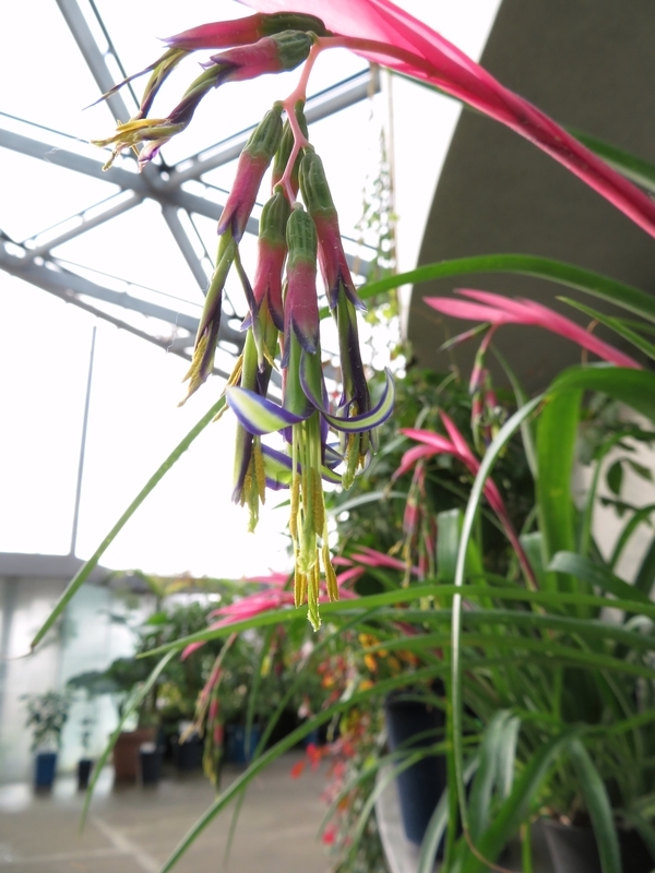 f:id:Nakano_Hitsuji:20200122151039j:plain f:id:Nakano_Hitsuji:20200122151039j:plain