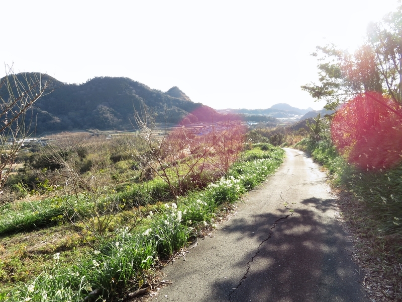 f:id:Nakano_Hitsuji:20200201152453j:plain