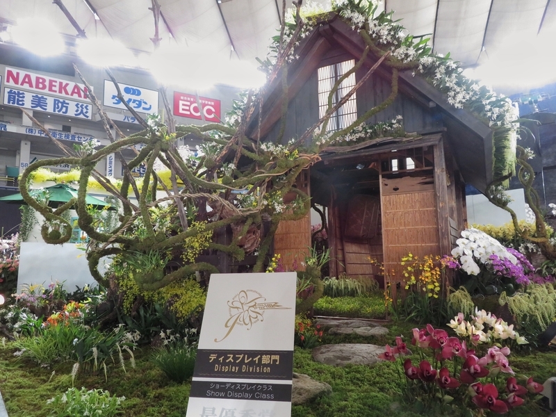 f:id:Nakano_Hitsuji:20200219115647j:plain f:id:Nakano_Hitsuji:20200219115647j:plain