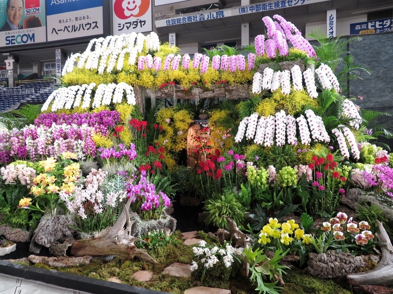 f:id:Nakano_Hitsuji:20200219115840j:plain f:id:Nakano_Hitsuji:20200219115840j:plain