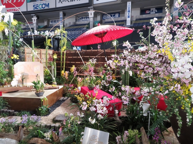 f:id:Nakano_Hitsuji:20200219120308j:plain f:id:Nakano_Hitsuji:20200219120308j:plain