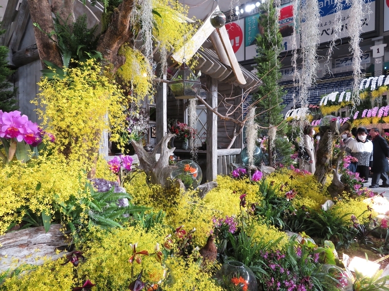 f:id:Nakano_Hitsuji:20200219120728j:plain f:id:Nakano_Hitsuji:20200219120728j:plain