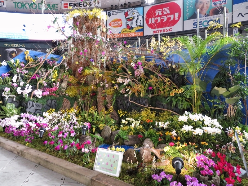 f:id:Nakano_Hitsuji:20200219121308j:plain f:id:Nakano_Hitsuji:20200219121308j:plain