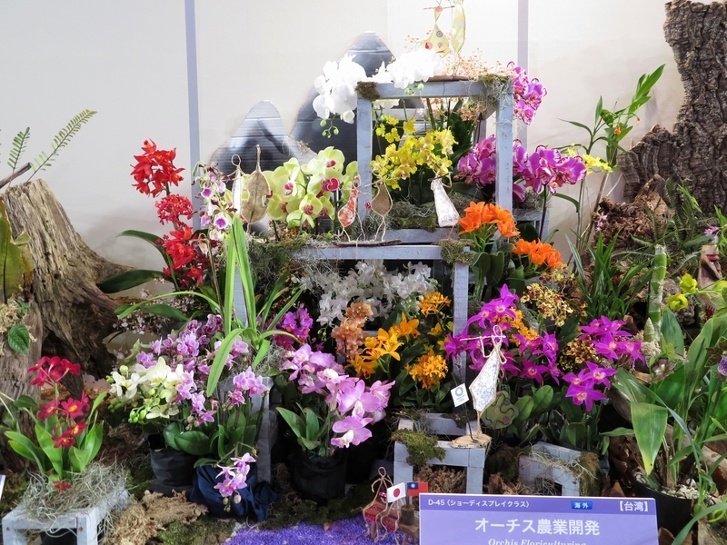 f:id:Nakano_Hitsuji:20200219122607j:plain f:id:Nakano_Hitsuji:20200219122607j:plain