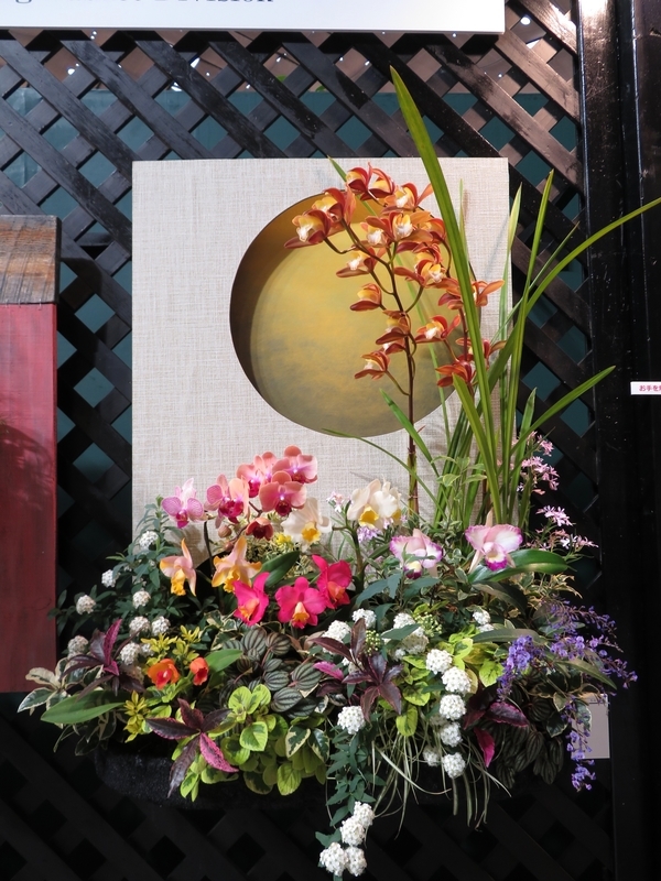 f:id:Nakano_Hitsuji:20200219123927j:plain f:id:Nakano_Hitsuji:20200219123927j:plain